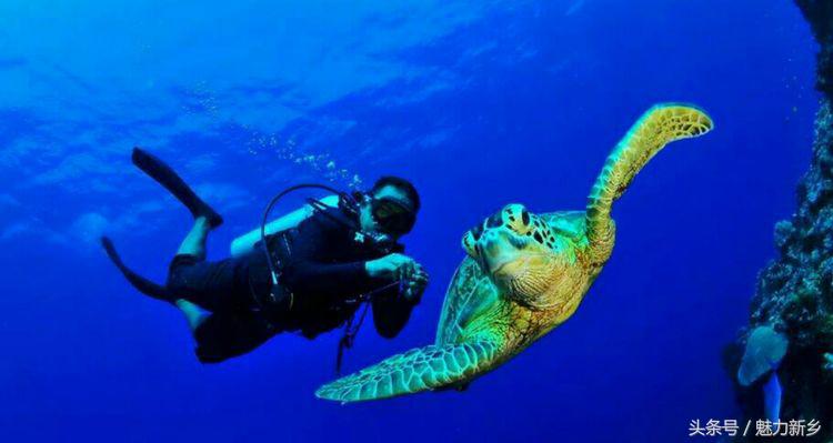 仙本那跳岛简介,仙本那跳岛图