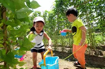 亚龙湾红树林酒店室内玩乐,亚龙湾红树林酒店潜水体验