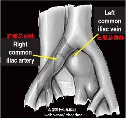 下肢静脉曲张手术后为什么会复发,下肢静脉曲张手术后复发后严重吗