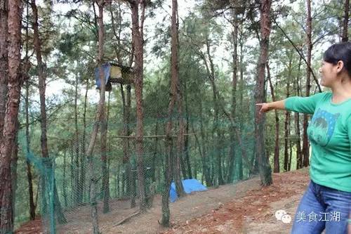 美食有一种情怀叫老味道,美食江湖情