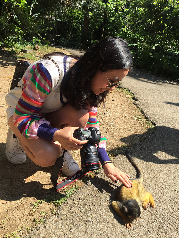 日本喜欢泡温泉的动物,日本爱泡温泉的狗子