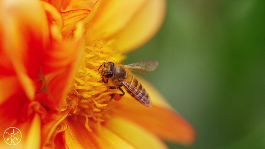 海美迪h7鎏金版9.0评测,海美迪h7三代盒子扩容