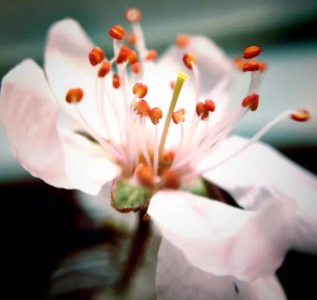 CMPA|2016年3月17日编辑推荐作品