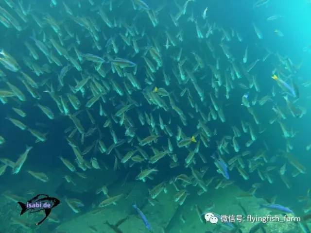 什么叫口孵,口字偏旁的秘密