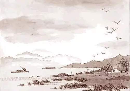 泡茶的背景音乐15秒,泡茶的高级背景音乐