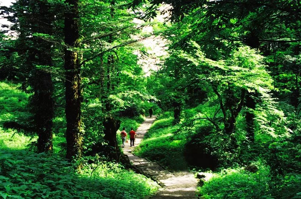 什么颜色能代表乐山？来看看这些颜色，你喜欢它吗？