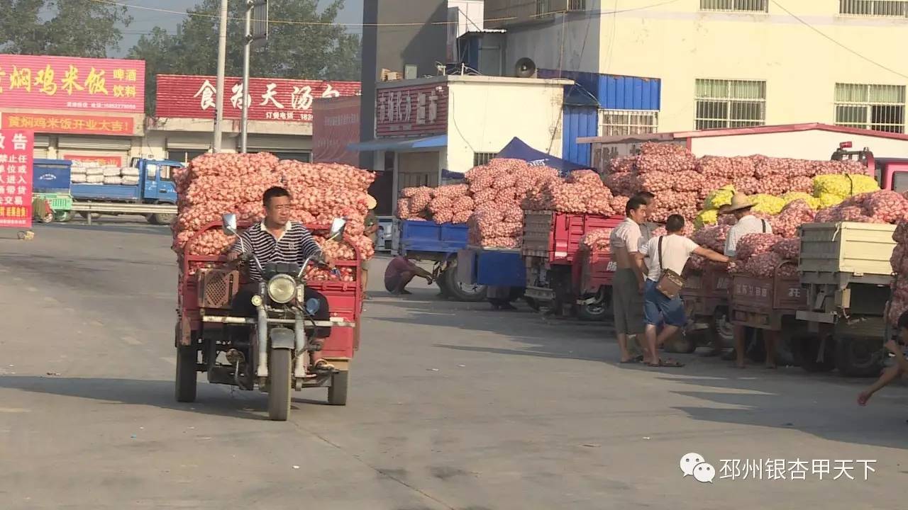 邳州的“一头蒜”到底有多牛，看完这篇微信你就知道了！