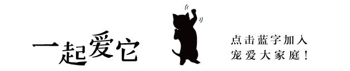 狗狗一块皮肤发红掉毛怎么治疗,狗狗掉毛一块一块的是什么原因