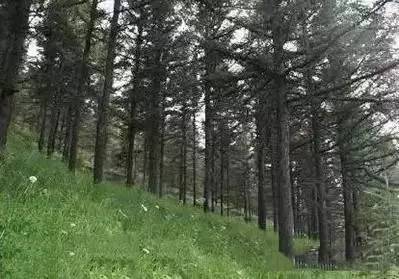 呼和浩特纳凉好地方,呼和浩特周边避暑胜地