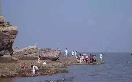 金普新区自驾游攻略,金普新区旅游攻略一日游