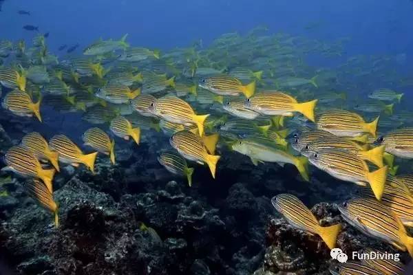 从入门级到朝圣级，船宿该怎么选？