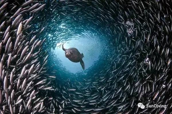 从入门级到朝圣级，船宿该怎么选？