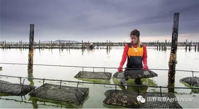 全球最强农业公司排名榜最新,农业创业十大风口企业