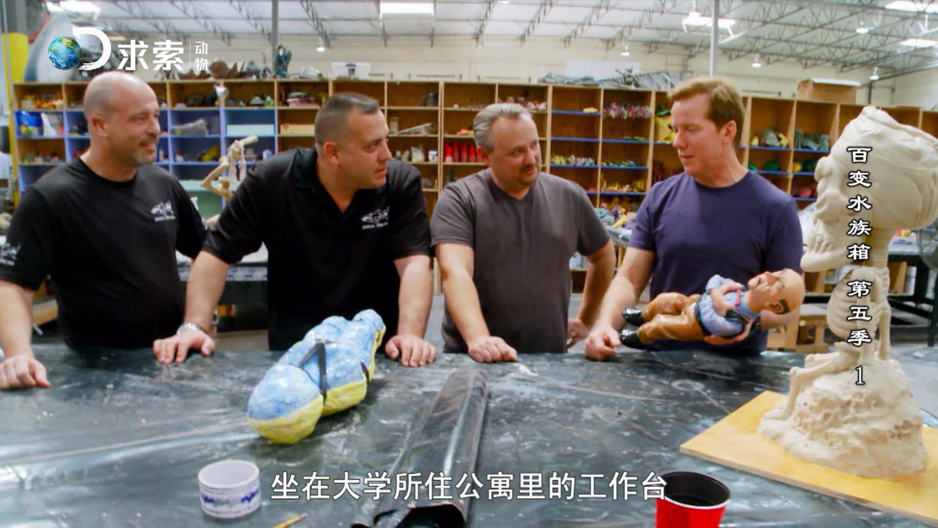 水族类多层鱼缸 (精美鱼缸水族箱)