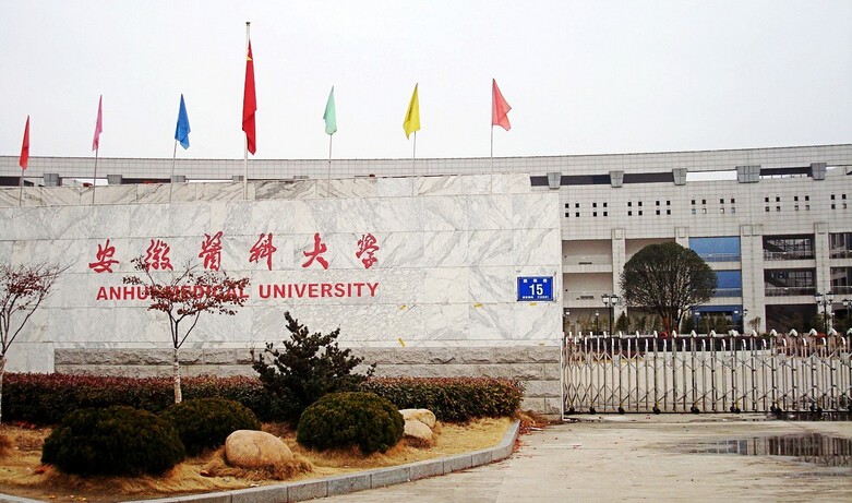 合肥排名前10的小学、初中、高中、大学全在这了,以后孩子就上这些学校!