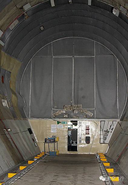 变异变形飞机,变异飞机鹦鹉