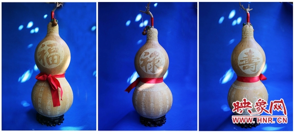 葫芦种植致富项目,河南葫芦种植