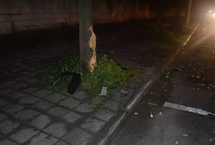 广西玉林男子酒后撞人,男子驾车打瞌睡撞上护栏