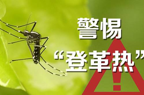 登革热一般出现在几月份,登革热什么时候结束
