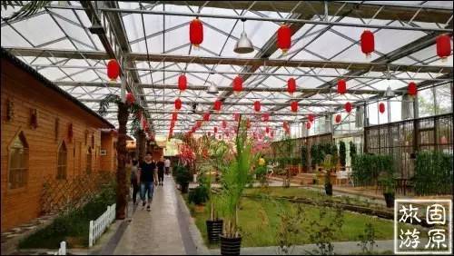 固原九龙山庄,田园乐趣游玩