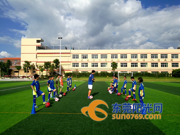 谢岗青少年篮球培训,谢岗足球班