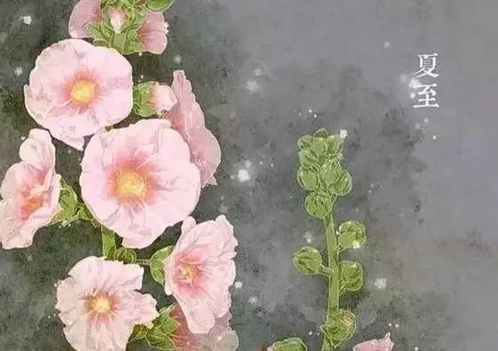 夏至已至全部视频,江阴夏至吃馄饨的习俗