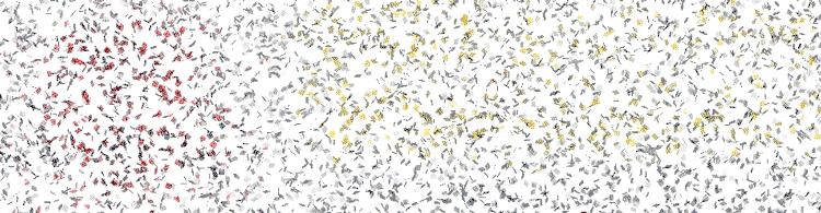 中国荧光海最佳观赏时间和地点,厦门蓝色荧光海是真实的吗