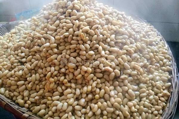 在家自做豆豉方法教程,怎样在家自制豆豉