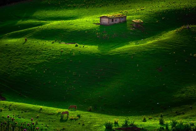 对不起，我去草原了，别再找我了……