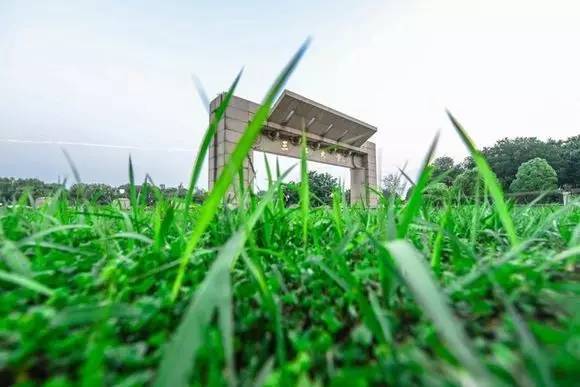 三江学院，小三本的奋斗传奇