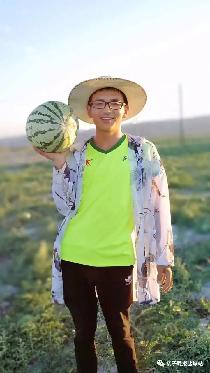 厉害了Word大学生！甘肃沙田瓜运到盐城卖，10天销量达70吨