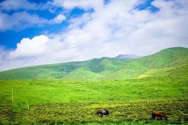 对不起，我去草原了，别再找我了……