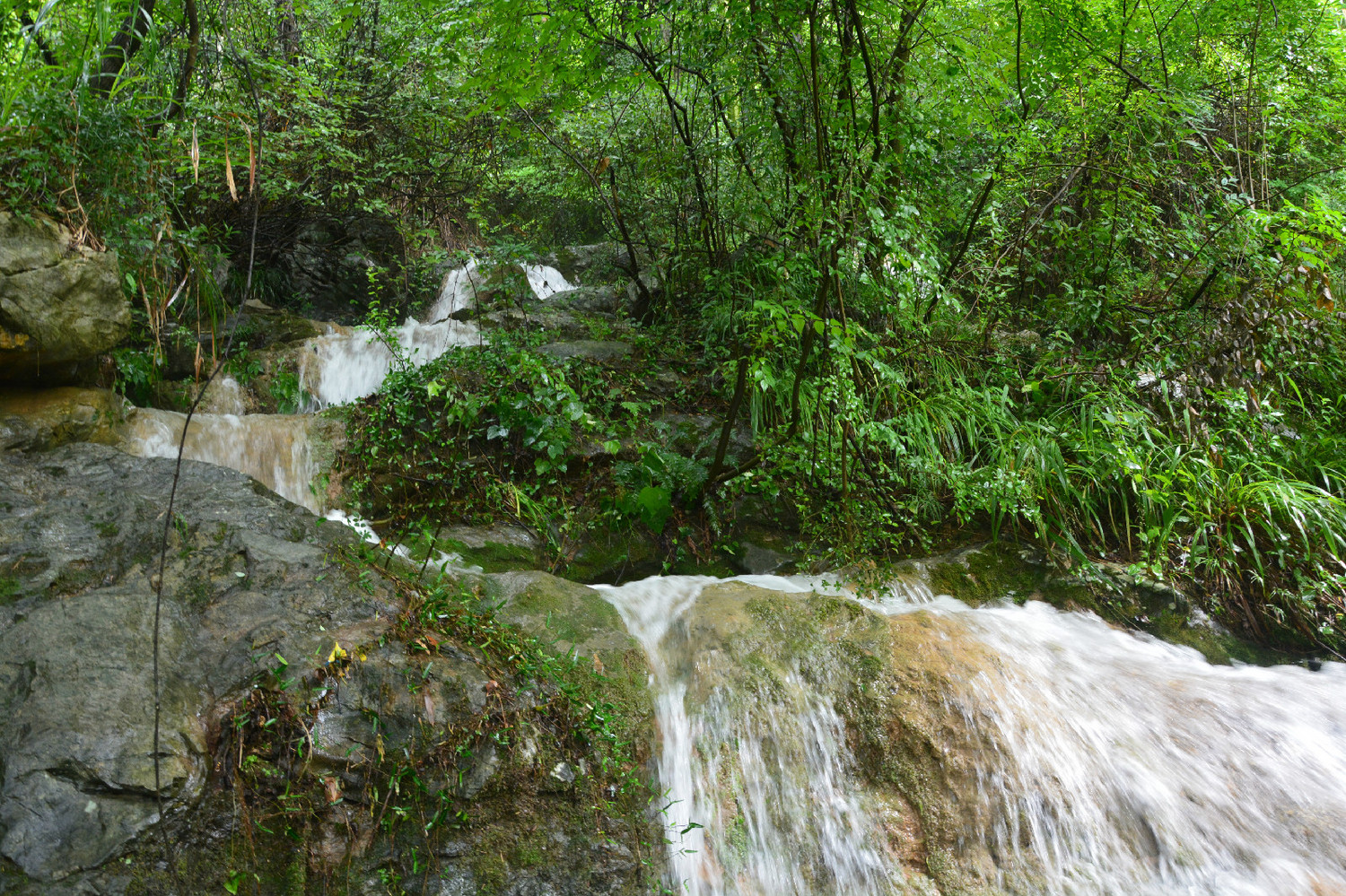 新款阿迪溯溪鞋测评,新款溯溪鞋涉水鞋