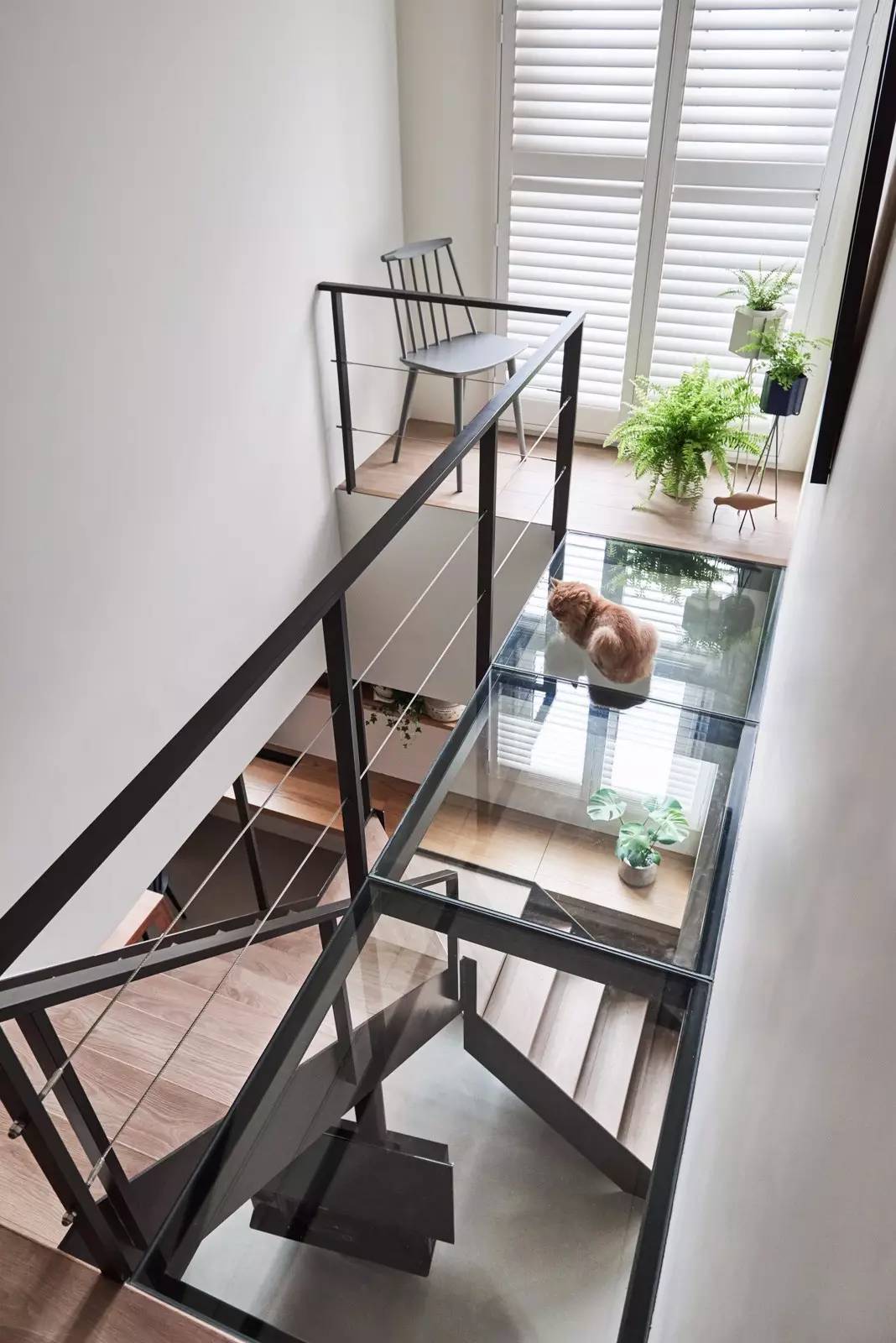 猫奴的生活布置,猫奴的卧室怎么装扮