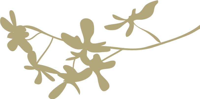 越秀体育馆开放时间,越秀体育场开放时间