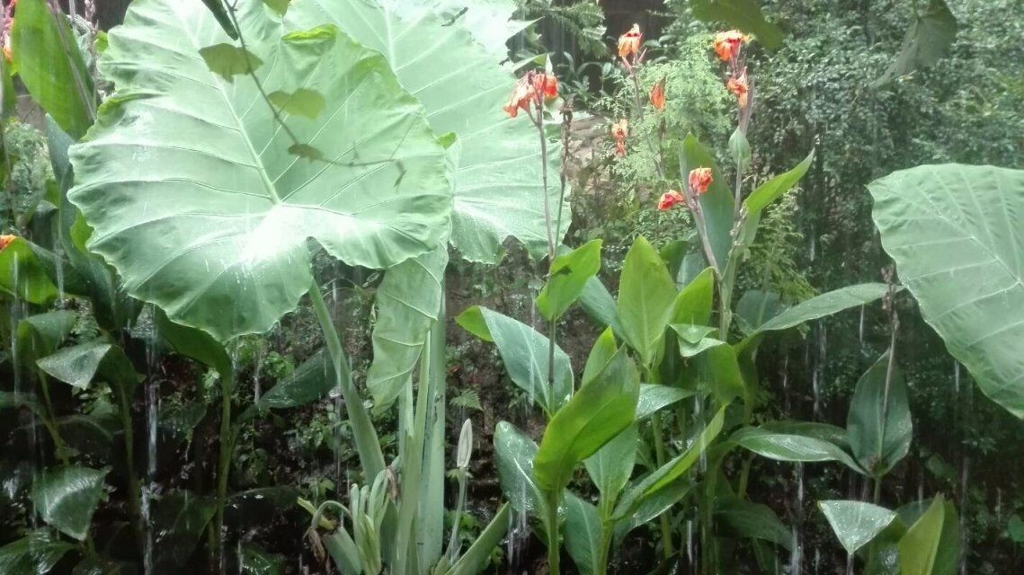 湖南小溪,湖南桂阳小溪