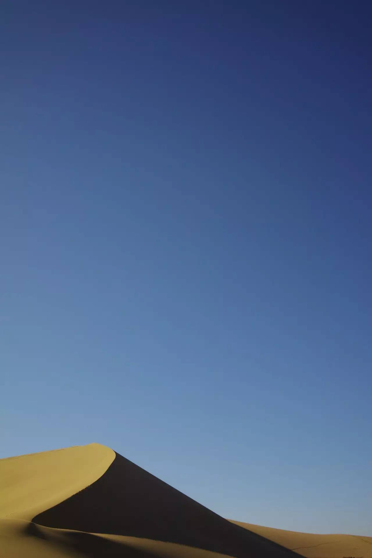 lomo摄影成立了多少年,lomo摄影是什么意思