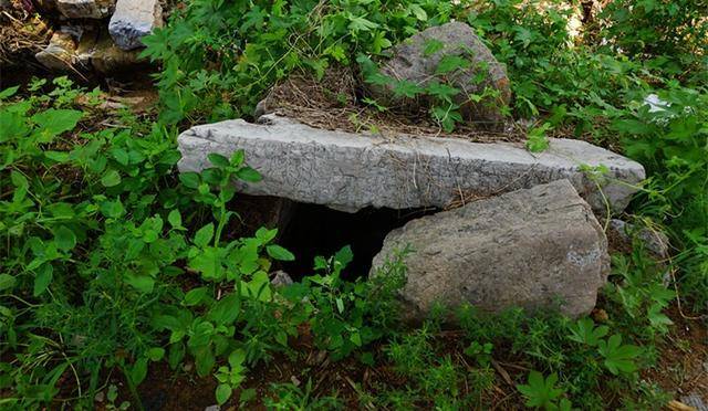 美丽乡村永丰镇三元村,2024年源泉镇西高村