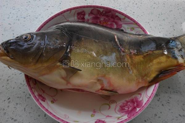 家常炖鲤鱼放醋吗,家常炖鲤鱼