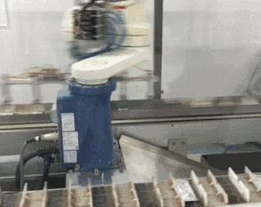 白血病治疗国家医保可以报吗,现在的白血病可以纳入医保了吗