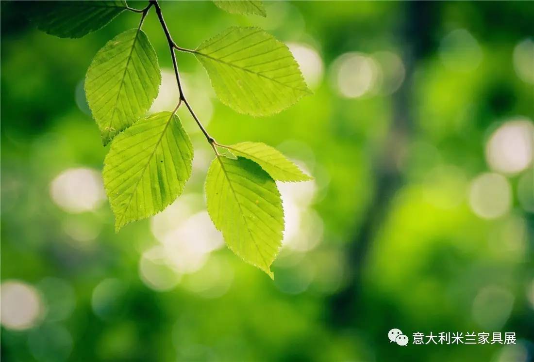 色彩与光影pdf免费下载,色彩与光影的世界可能你还不懂