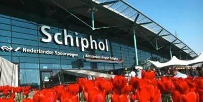 剁手党必买,2019剁手也要买的爆款包包top10