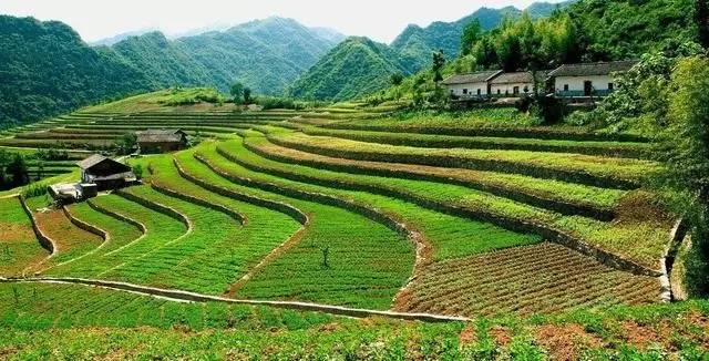 农村宅基地申请一直不给批,农村宅基地不予审批怎么办