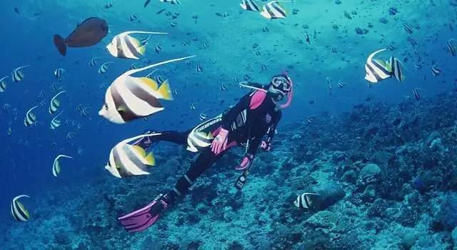 濡欏鐤楁剤,濡欏