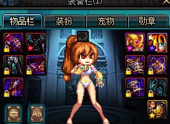 地下城与勇士刚升满级后要干嘛,地下城与勇士满级后该怎么玩