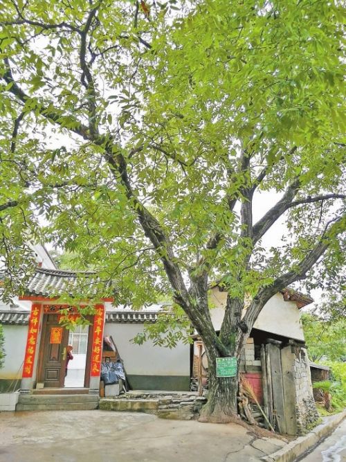 昌宁创业孵化,昌宁跨越式发展