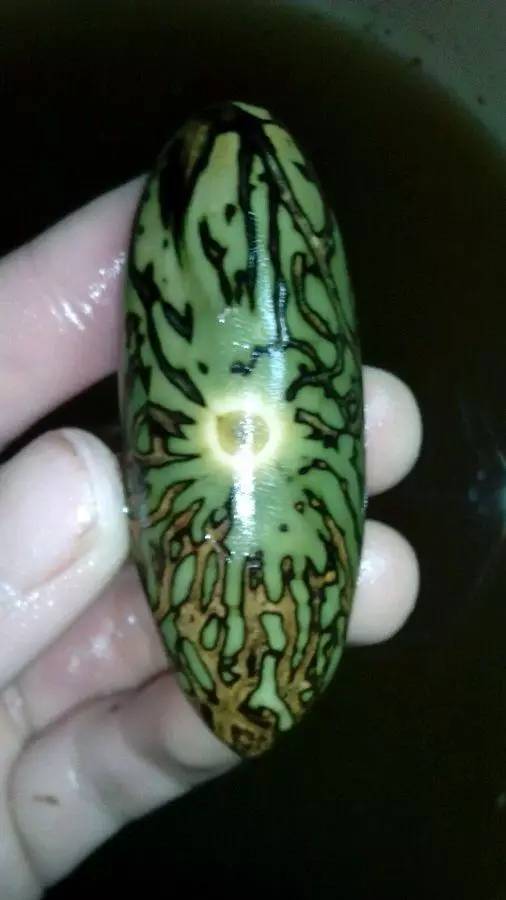 千眼菩提子打磨机器,千眼菩提打磨两头尖