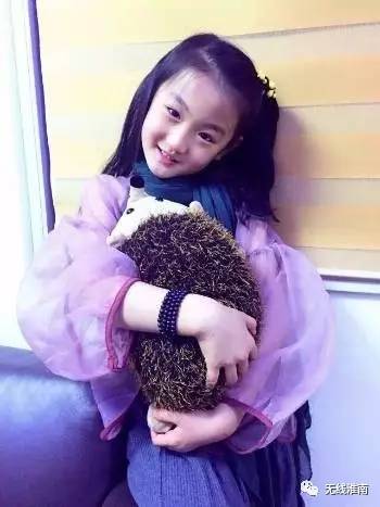 居然是他们,竟然是他们