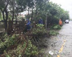 焕新颜｜横林镇投入50万，横林地板城及周边环境整治提升！