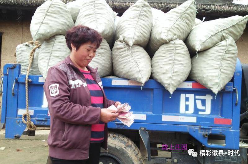 梁倩娟农村电商直播,梁倩娟谈电商政策